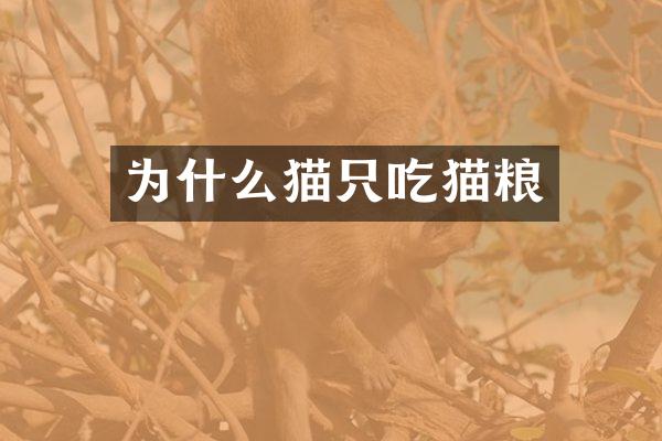 为什么猫只吃猫粮