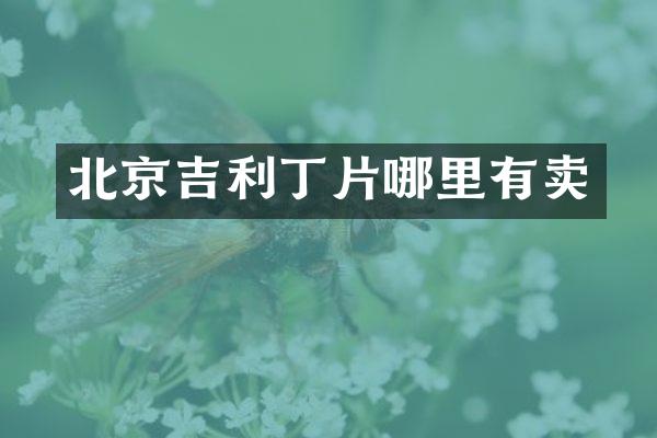 北京吉利丁片哪里有卖