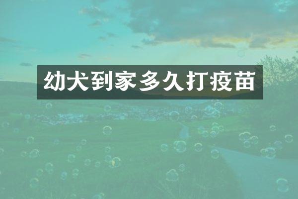 幼犬到家多久打疫苗