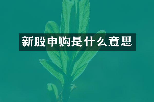 新股申购是什么意思