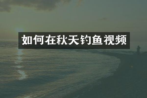 如何在秋天钓鱼视频