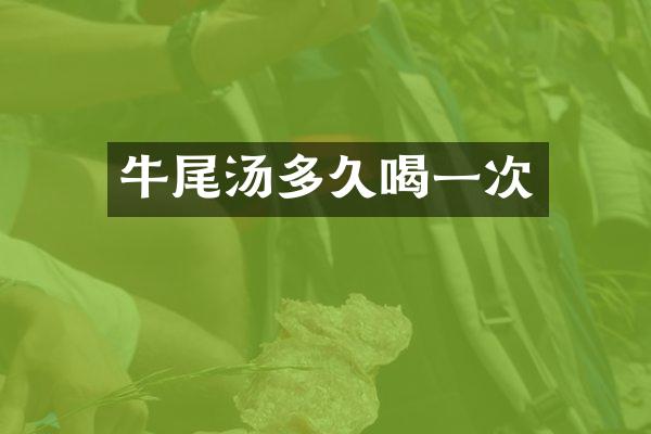 牛尾汤多久喝一次