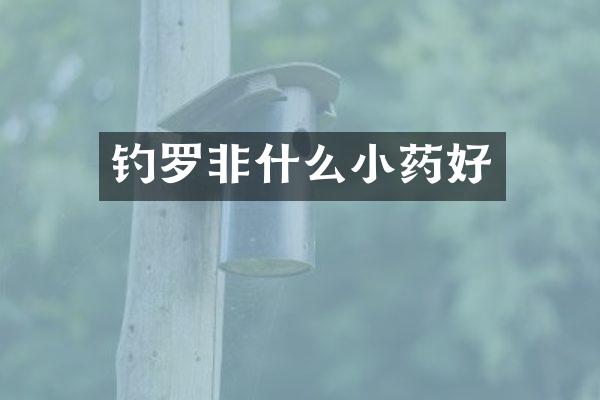 钓罗非什么小药好