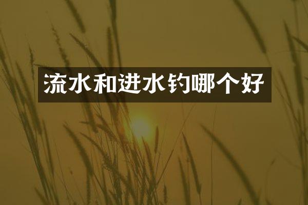 流水和进水钓哪个好