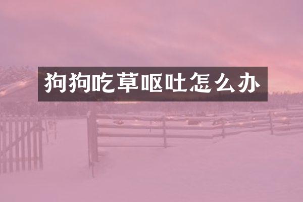 狗狗吃草呕吐怎么办