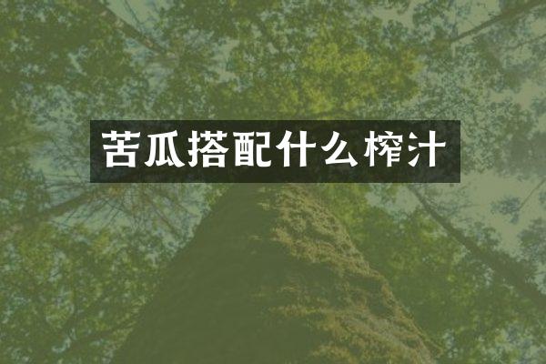 苦瓜搭配什么榨汁