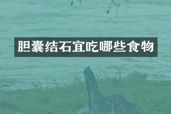 胆囊结石宜吃哪些食物