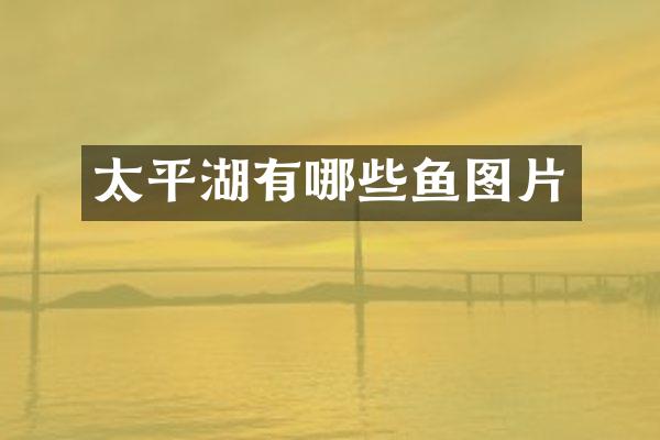 太平湖有哪些鱼图片