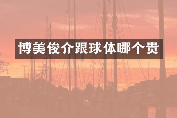 博美俊介跟球体哪个贵