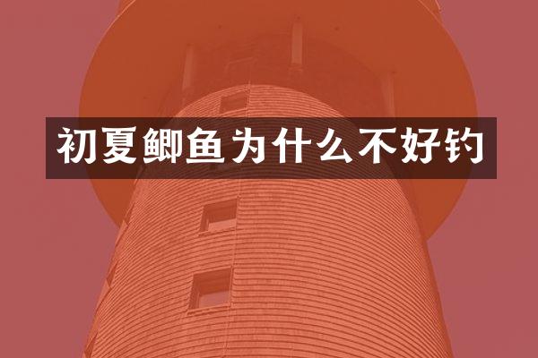初夏鲫鱼为什么不好钓
