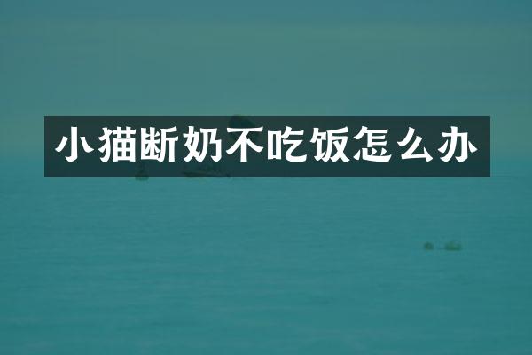 小猫断奶不吃饭怎么办