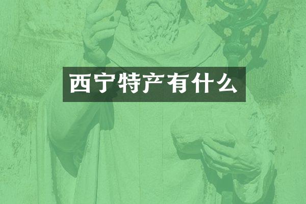 西宁特产有什么