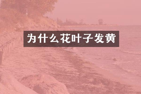 为什么花叶子发黄