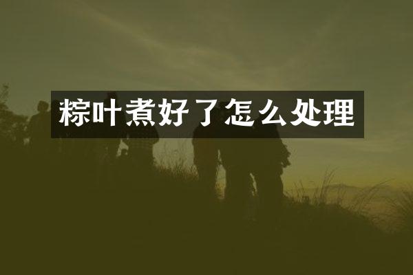 粽叶煮好了怎么处理