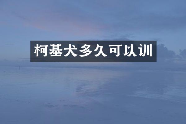 柯基犬多久可以训