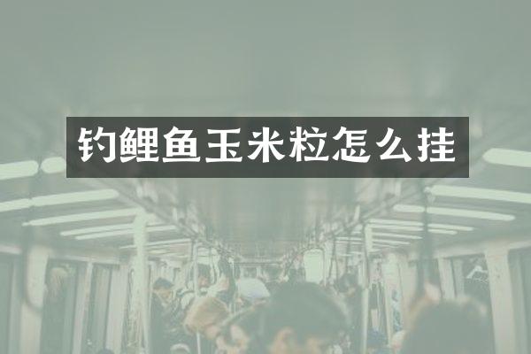 钓鲤鱼玉米粒怎么挂