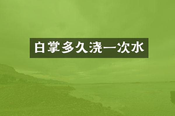 白掌多久浇一次水