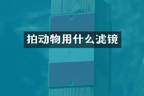 拍动物用什么滤镜