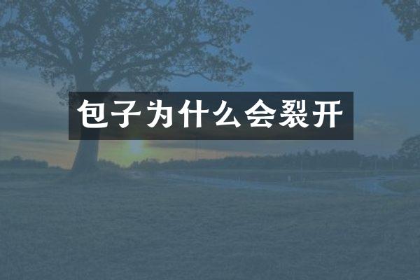 包子为什么会裂开