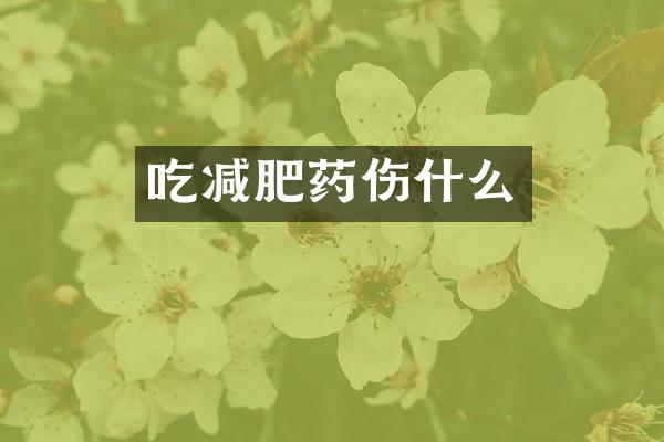 吃减肥药伤什么