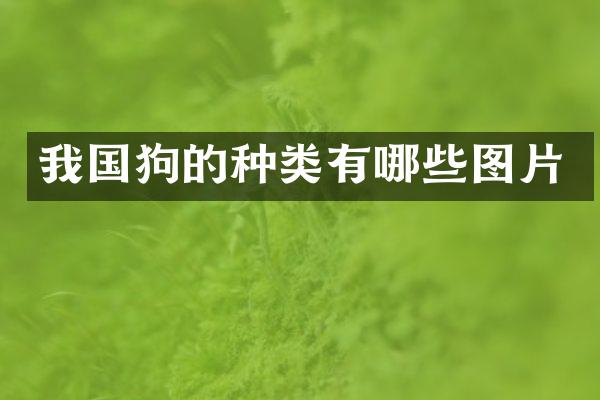 我国狗的种类有哪些图片