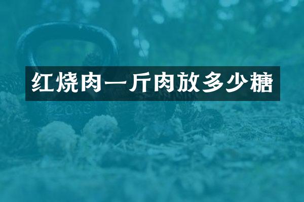 红烧肉一斤肉放多少糖