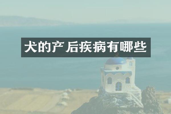 犬的产后疾病有哪些