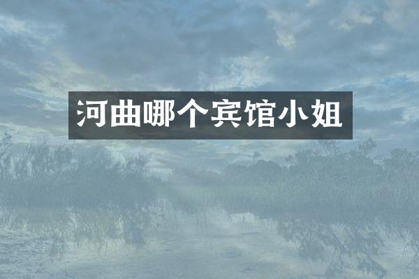 河曲哪个宾馆小姐