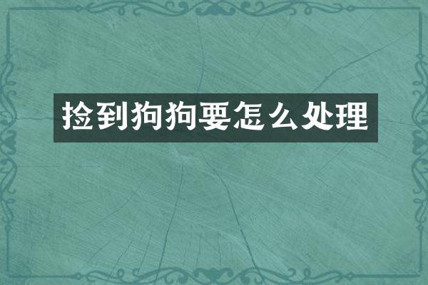 捡到狗狗要怎么处理