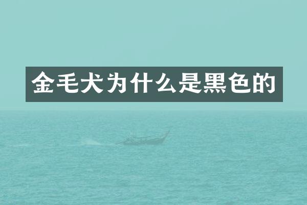 金毛犬为什么是黑色的