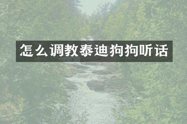 怎么调教泰迪狗狗听话