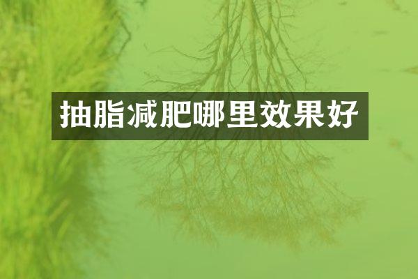 抽脂减肥哪里效果好