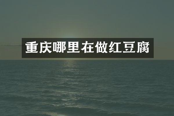重庆哪里在做红豆腐