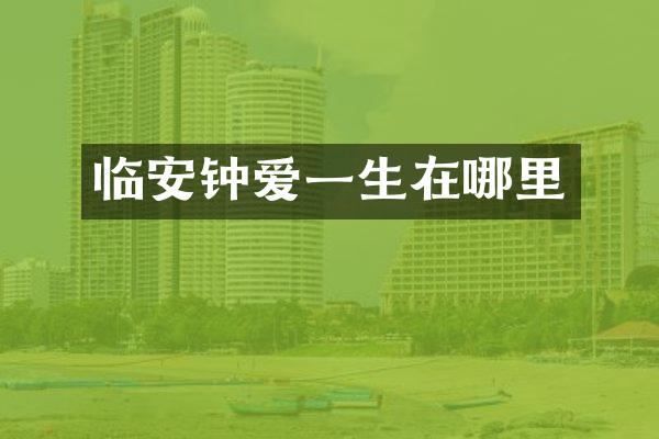 临安钟爱一生在哪里
