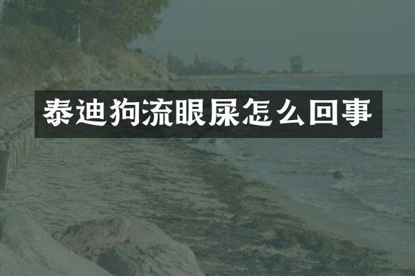 泰迪狗流眼屎怎么回事