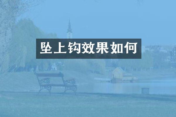 坠上钩效果如何