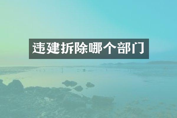 违建拆除哪个部门