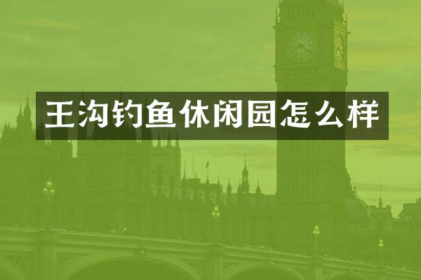 王沟钓鱼休闲园怎么样