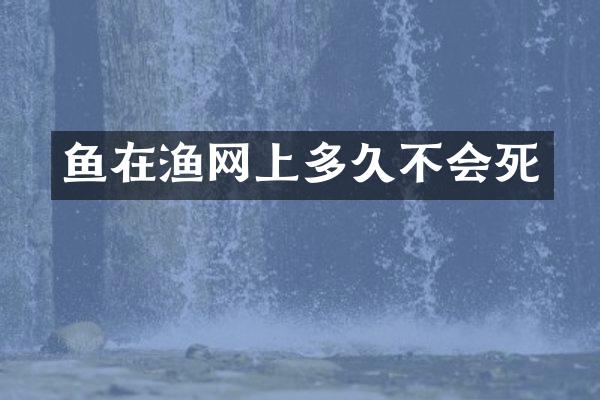 鱼在渔网上多久不会死