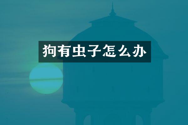 狗有虫子怎么办