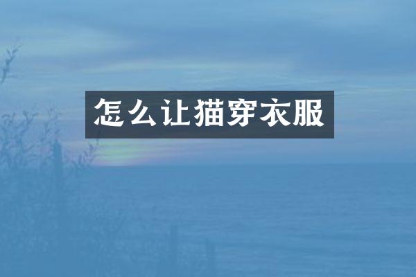 怎么让猫穿衣服