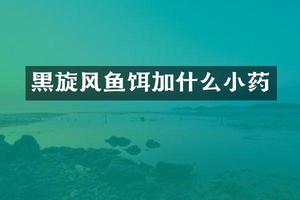 黑旋风鱼饵加什么小药