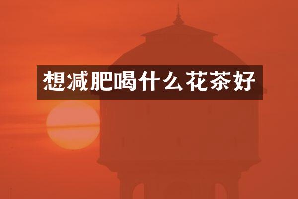 想减肥喝什么花茶好