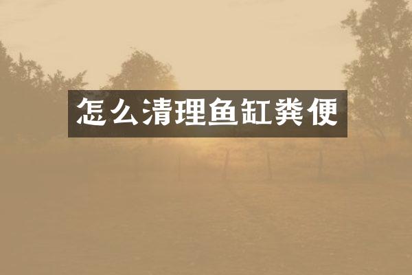 怎么清理鱼缸粪便