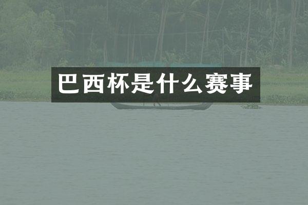 巴西杯是什么赛事