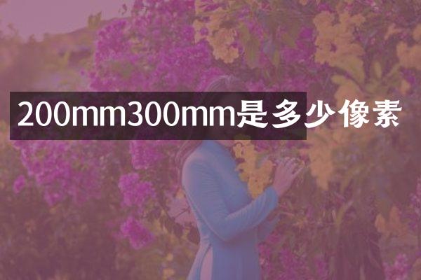 200mm300mm是多少像素