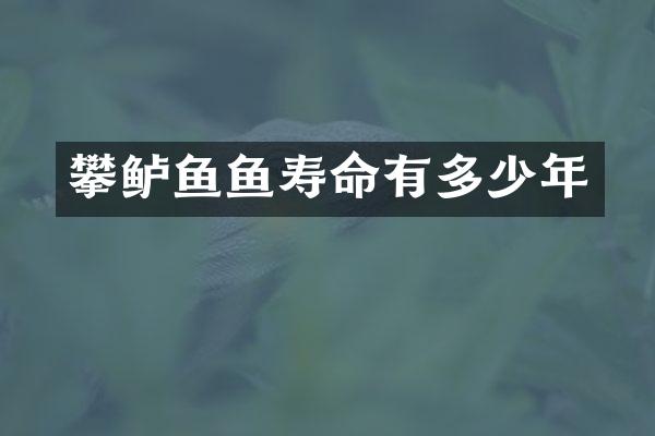 攀鲈鱼鱼寿命有多少年