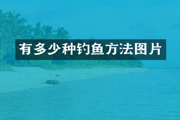 有多少种钓鱼方法图片