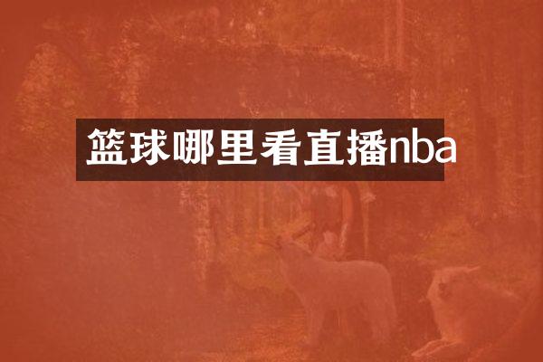 篮球哪里看直播nba