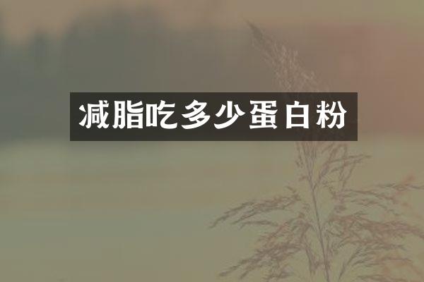 减脂吃多少蛋白粉